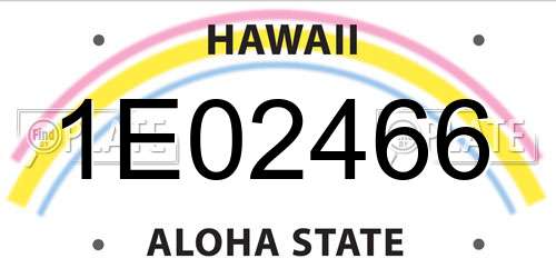 1E02466 Hawaii License Plate