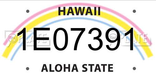 1E07391 Hawaii License Plate