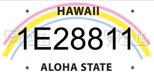 1E28811 Hawaii License Plate
