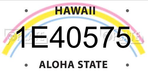 1E40575 Hawaii License Plate