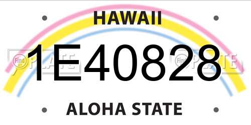 1E40828 Hawaii License Plate