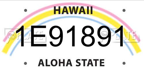 1E91891 Hawaii License Plate