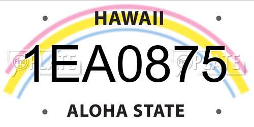 1EA0875 Hawaii License Plate