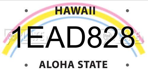 1EAD828 Hawaii License Plate