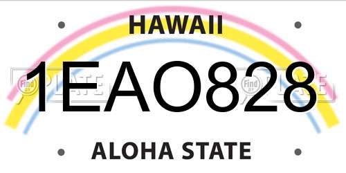 1EAO828 Hawaii License Plate