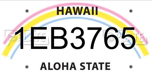1EB3765 Hawaii License Plate