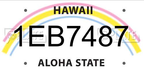 1EB7487 Hawaii License Plate