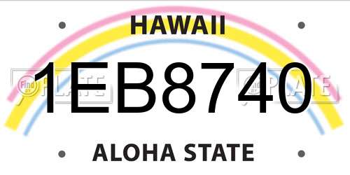 1EB8740 Hawaii License Plate