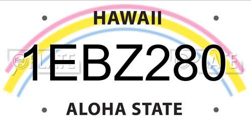 1EBZ280 Hawaii License Plate