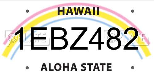 1EBZ482 Hawaii License Plate