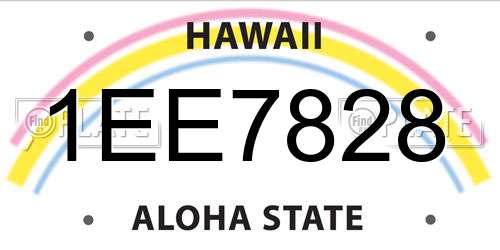 1EE7828 Hawaii License Plate