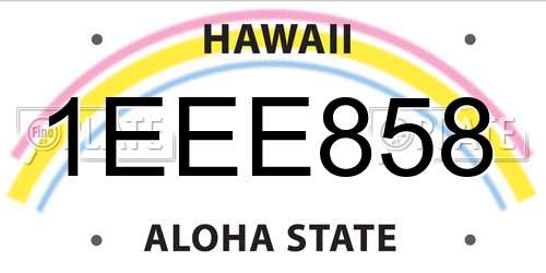 1EEE858 Hawaii License Plate
