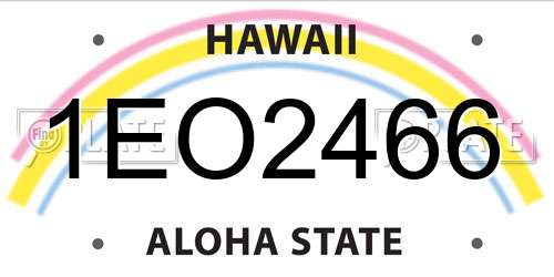 1EO2466 Hawaii License Plate