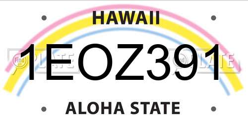 1EOZ391 Hawaii License Plate