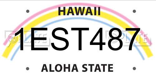 1EST487 Hawaii License Plate