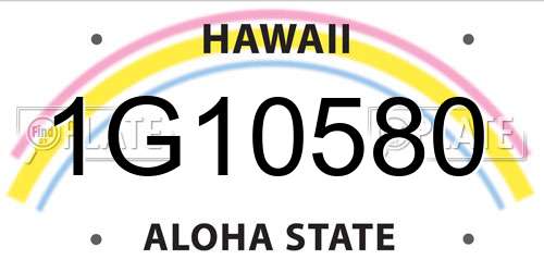 1G10580 Hawaii License Plate
