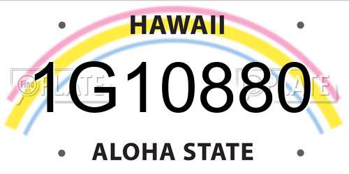 1G10880 Hawaii License Plate