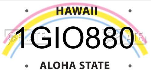 1GIO880 Hawaii License Plate