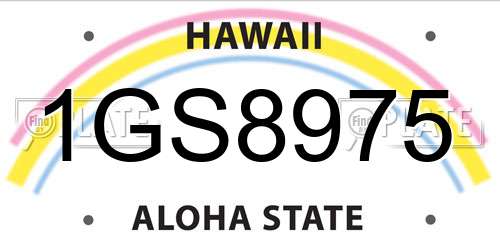 1GS8975 Hawaii License Plate