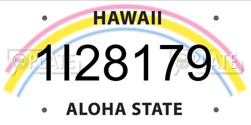 1I28179 Hawaii License Plate