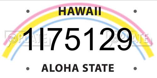 1I75129 Hawaii License Plate