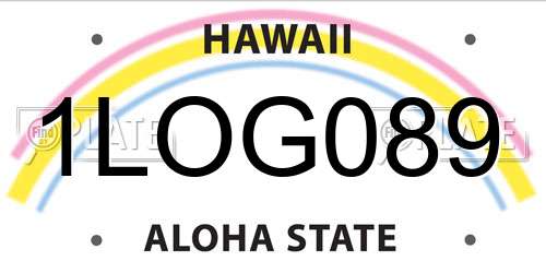 1LOG089 Hawaii License Plate