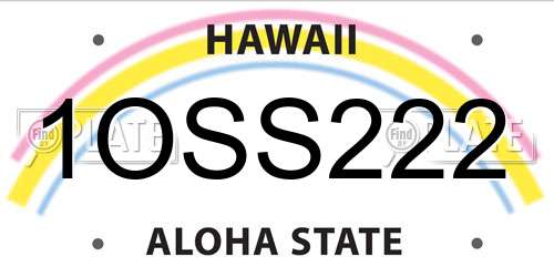 1OSS222 Hawaii License Plate