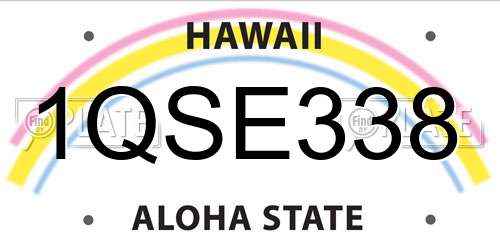 1QSE338 Hawaii License Plate