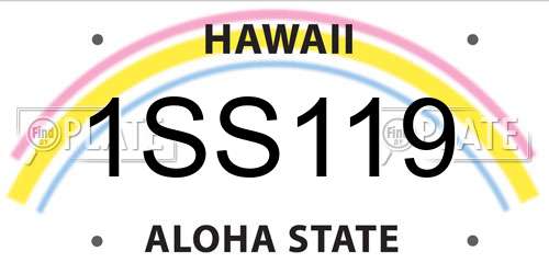 1SS119 Hawaii License Plate