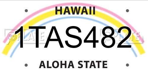 1TAS482 Hawaii License Plate