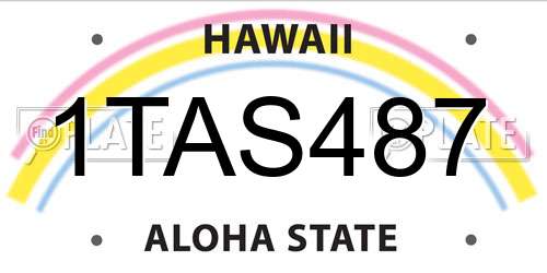 1TAS487 Hawaii License Plate