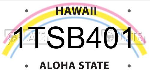 1TSB401 Hawaii License Plate