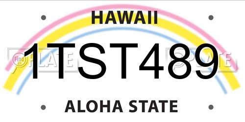 1TST489 Hawaii License Plate