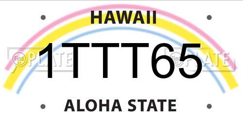 1TTT65 Hawaii License Plate