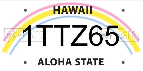1TTZ65 Hawaii License Plate