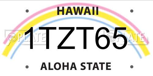 1TZT65 Hawaii License Plate
