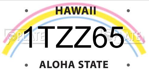 1TZZ65 Hawaii License Plate