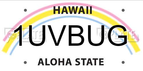 1UVBUG Hawaii License Plate