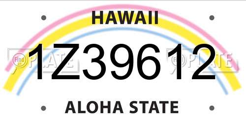 1Z39612 Hawaii License Plate
