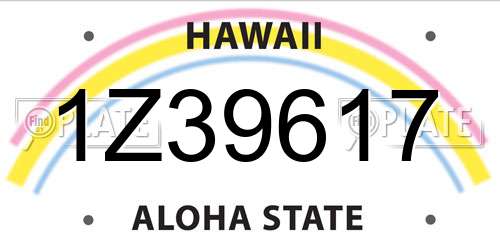 1Z39617 Hawaii License Plate