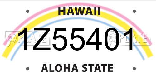 1Z55401 Hawaii License Plate