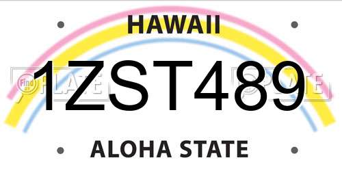 1ZST489 Hawaii License Plate