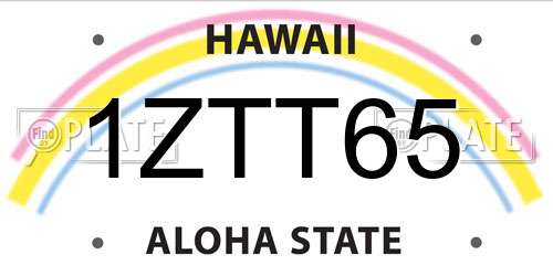 1ZTT65 Hawaii License Plate