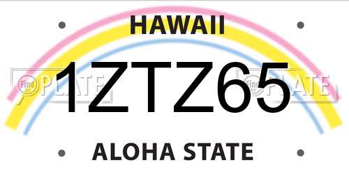 1ZTZ65 Hawaii License Plate