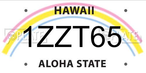 1ZZT65 Hawaii License Plate