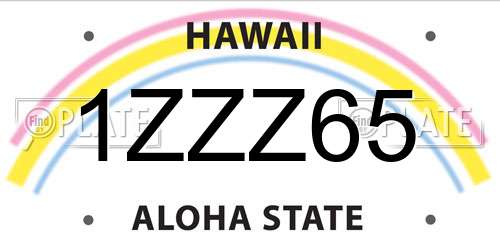 1ZZZ65 Hawaii License Plate