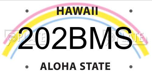 202BMS Hawaii License Plate