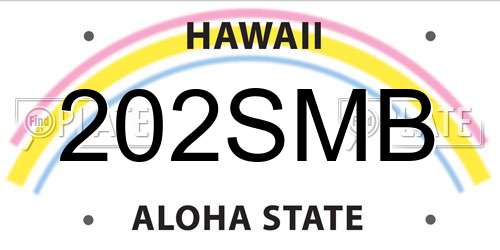 202SMB Hawaii License Plate