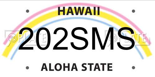 202SMS Hawaii License Plate