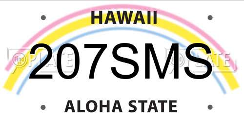 207SMS Hawaii License Plate